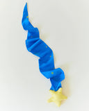 Skytail- Shooting Star comet