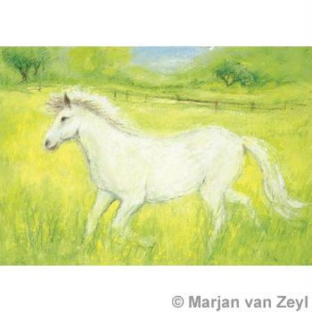 Little White Horse Postcard Dragonflytoys 