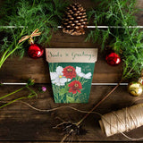 Seeds n  Greetings Gift of Seeds ( Cosmos, Dill and Zinnia)