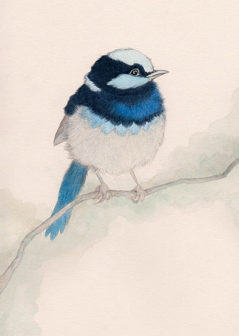 Greeting Card - Fairy Blue Wren