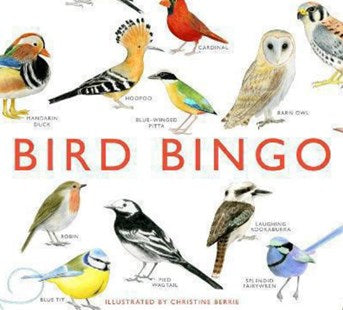 Bird bingo game, Dragonfytoys