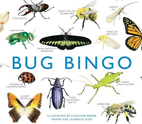 Bug bingo game, Dragonflytoys