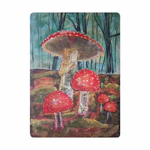 Chalkboard Art Cards Poster Fly Agaric, Dragonfly Toys 
