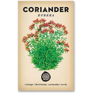 Heirloom Flower Seeds - Coriander Eureka
