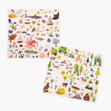 Explorer Decals- by Moulin Roty, Dragonfly Toys 