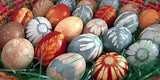 Natural egg dye kit for easter, Dragonflytoys