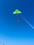 Delta Turtle Kite Dragonflytoys 