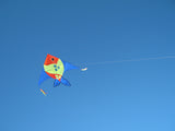 Large Fish Kite Dragonflytoys 