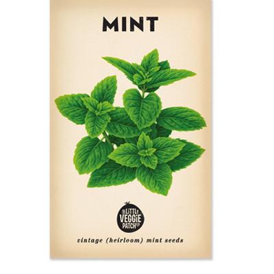 Heirloom Mint Seeds, Little Veggie patch co, dragonfly toys